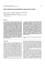 Pattern formation during gastrulation in the sea urchin embryo