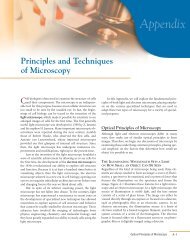 WOC 6e Guide to Microscopy