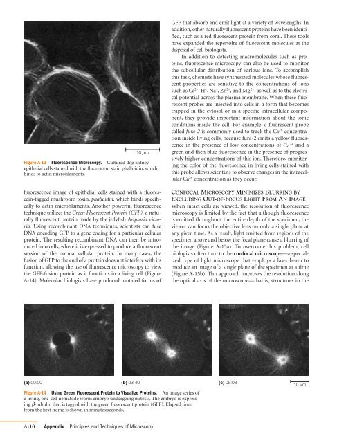 WOC 6e Guide to Microscopy