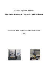 Relazione sulle attività didattiche e scientifiche svolte nell'anno 2008