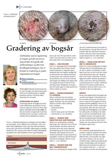 Gradering av bogsår - Animalia