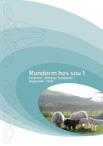 Rundorm hos sau 1 - symptomer, diagnostikk, tiltak - Animalia