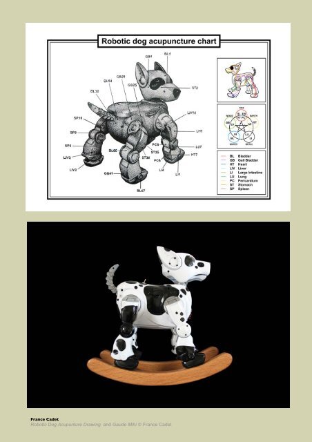 Animal Influence I - Antennae The Journal of Nature in Visual Culture