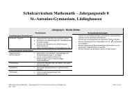 Lehrplan für die Klasse 8 - St. Antonius-Gymnasium