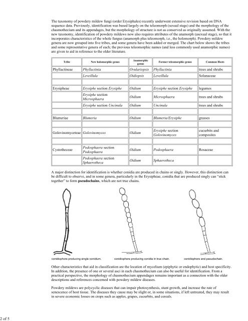 Identification of Powdery Mildew Fungi - American ...