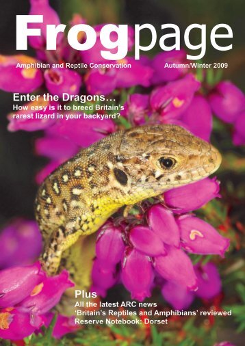 Enter the Dragons… Plus - Amphibian and Reptile Conservation