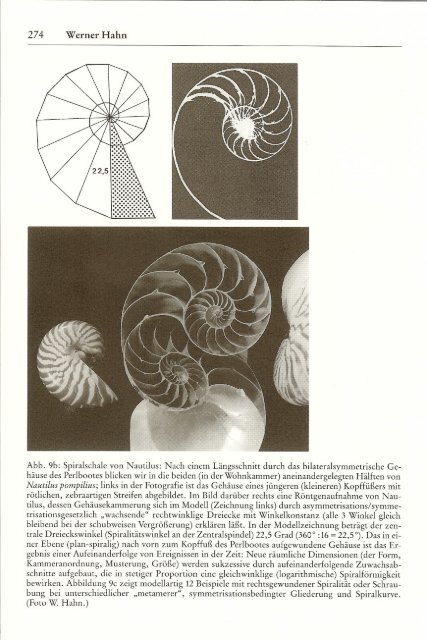 Werner Hahn· Peter Weibel (Hrsg.) - Art and Science