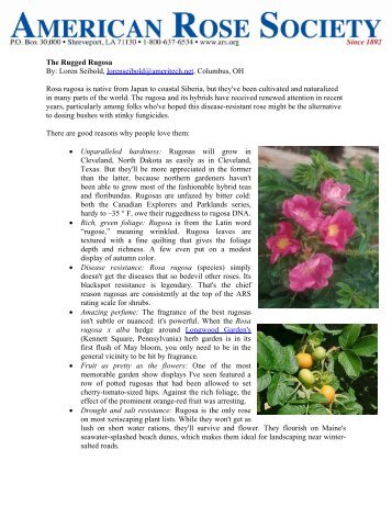 The Rugged Rugosa By - American Rose Society