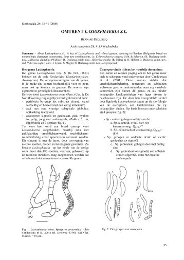 template Sterbeeckia - ASCOfrance