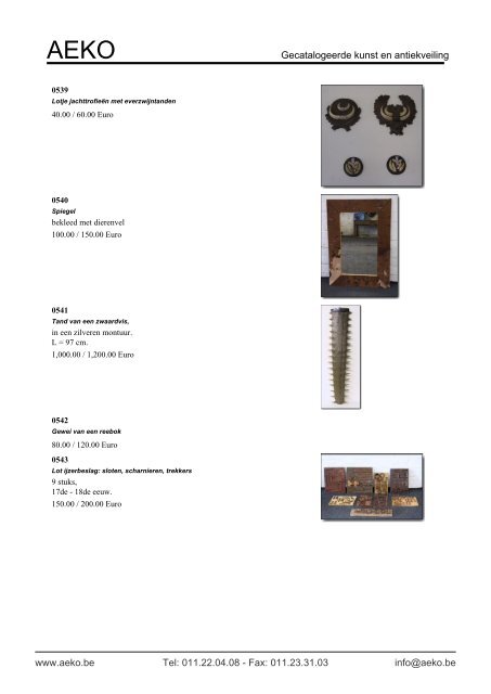 Gecatalogeerde kunst en antiekveiling - Auction In Europe