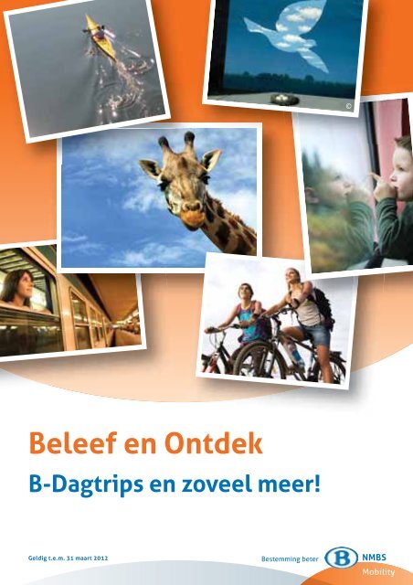 Beleef en Ontdek