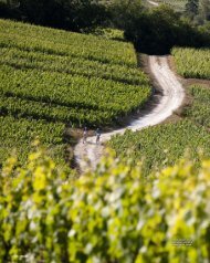 In de Champagne kan je prima afzien, maar als je ... - BIKE & trekking