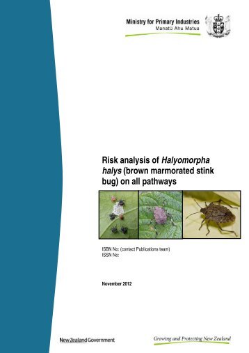 Risk analysis of Halyomorpha halys - Biosecurity New Zealand