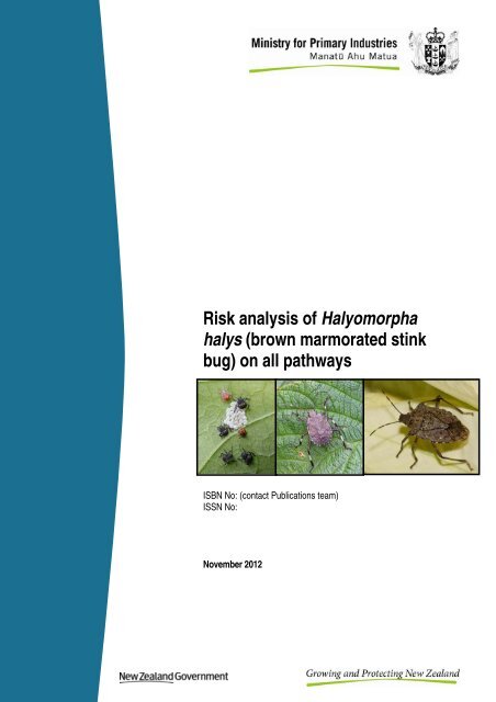Risk analysis of Halyomorpha halys - Biosecurity New Zealand