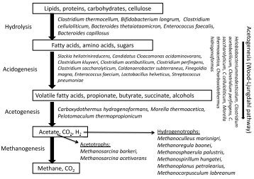 Methanogenesis Acetogenesis (W ood-Ljungdahl pathw ay) Lipids ...