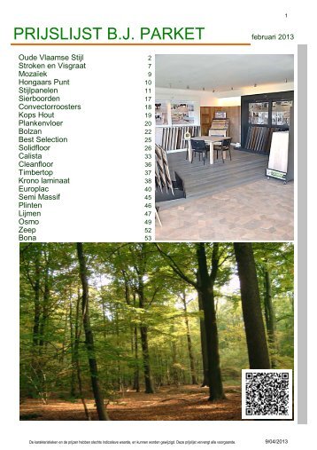 solidfloor - BJ Parket