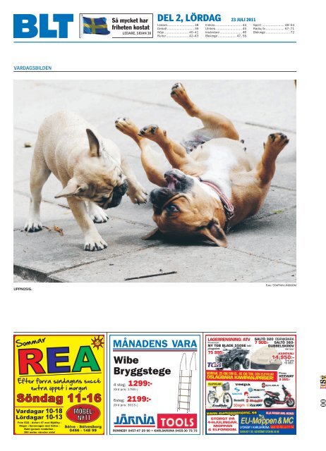 Hund Disk Mödrar Porr Filmer - Hund Disk Mödrar Sex Hund Disk Mödrar Porr Filmer - Hund Disk Mödrar Sex