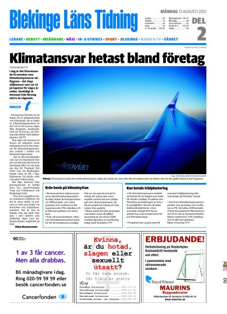 Klimatansvar hetast bland företag