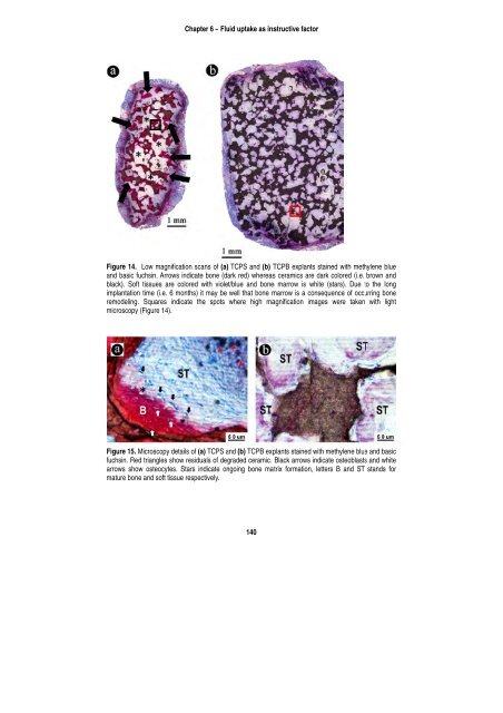 Barbieri Thesis - BioMedical Materials program (BMM)