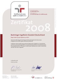 Audit berufundfamilie® - Zertifikat 2008