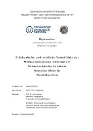 Flächenhafte und zeitliche Variabilität der Methanemissionen ...