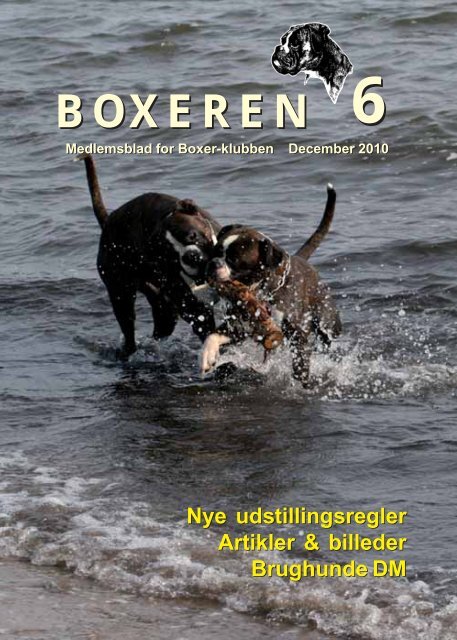 Boxeren 6-2010
