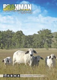 DOWNLOAD PDF 9.6mb - Australian Brahman Breeders Association