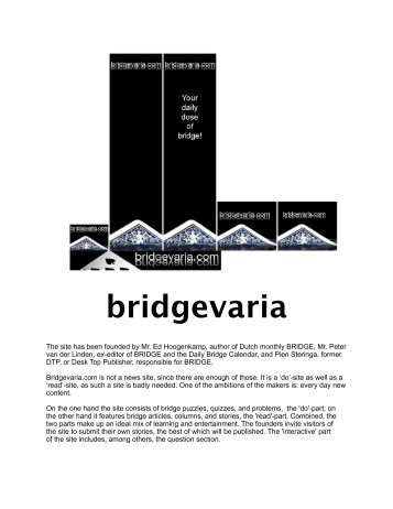 bridgevaria - Bridge Guys