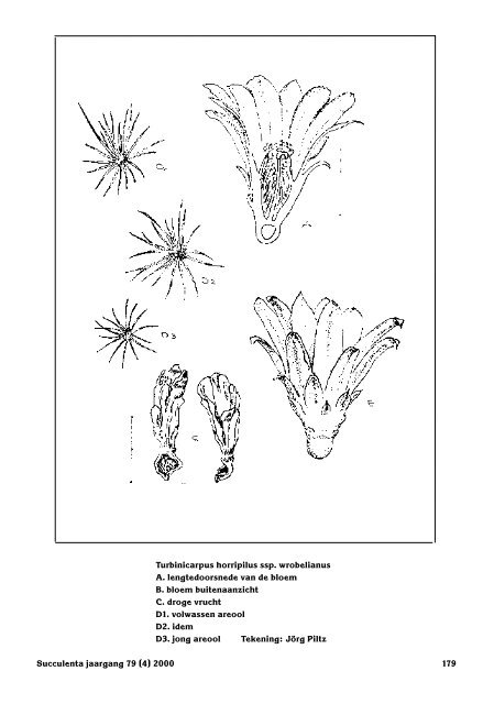 1 SUCCULENTA jaargang 79 (1) 2000 - Au Cactus Francophone