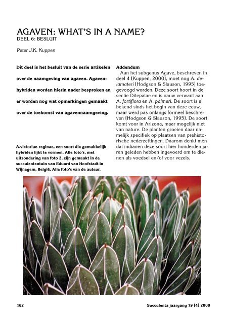 1 SUCCULENTA jaargang 79 (1) 2000 - Au Cactus Francophone