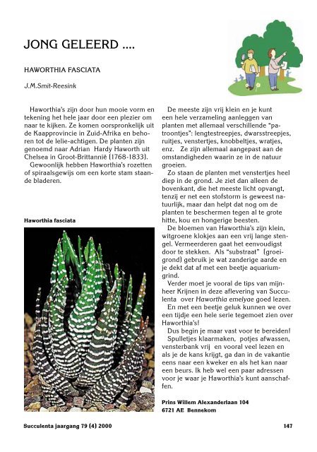 1 SUCCULENTA jaargang 79 (1) 2000 - Au Cactus Francophone