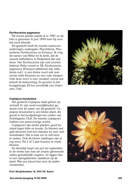 1 SUCCULENTA jaargang 79 (1) 2000 - Au Cactus Francophone