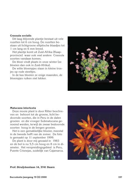 1 SUCCULENTA jaargang 79 (1) 2000 - Au Cactus Francophone