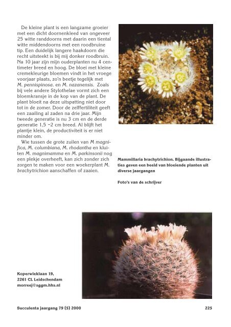 1 SUCCULENTA jaargang 79 (1) 2000 - Au Cactus Francophone