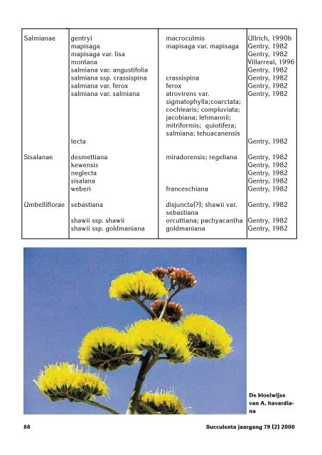 1 SUCCULENTA jaargang 79 (1) 2000 - Au Cactus Francophone