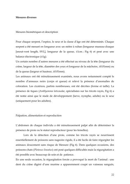 ecologie des tricots rayes de nouvelle-caledonie jury - Cebc - CNRS