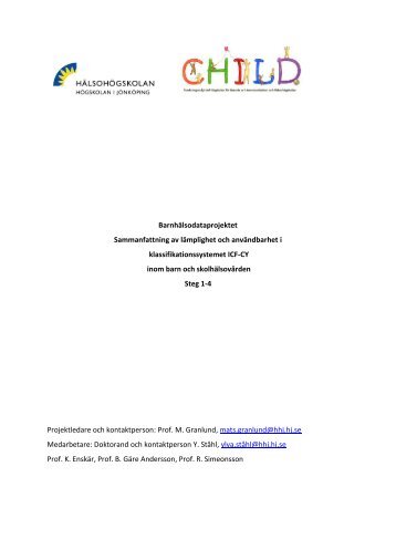 ICF CY mapping, sammanfattning steg 1-4