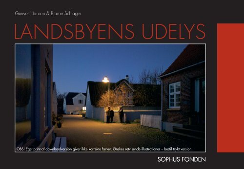 LANDSBYENS UDELYS - Dansk Center for Lys