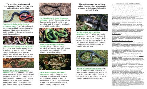 Snakes of Hunterdon County - Hunterdon County, New Jersey