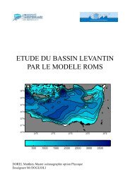 ETUDE DU BASSIN LEVANTIN PAR LE MODELE ROMS