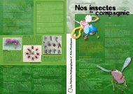 Nos insectes compagnie - CRDP