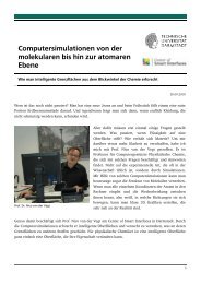 Computersimulationen von der molekularen bis hin zur ... - CSI