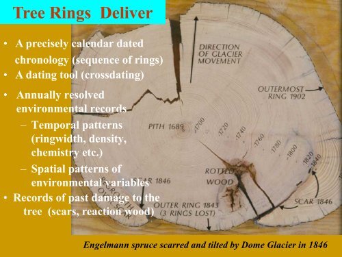 Tree Rings and Temperatures