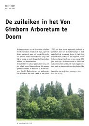 De zuileiken in het Von Gimborn Arboretum te Doorn