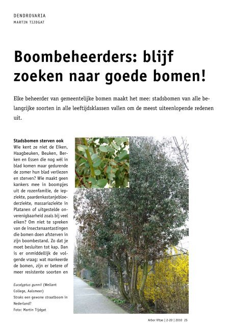 Boombeheerders: blijf zoeken naar goede bomen!