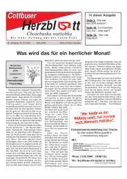 März 2008 - Die Linke. Lausitz