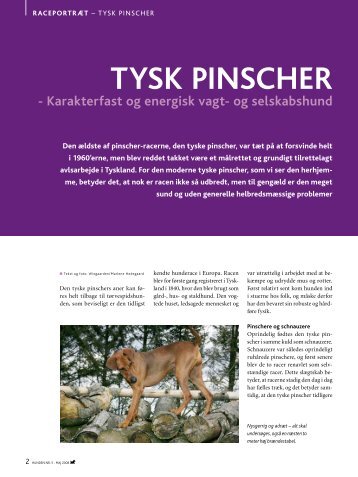 PDF-file: Tysk Pinscher - Dansk Kennel Klub