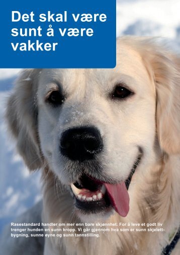 Det skal være sunt å være vakker - Dansk Kennel Klub