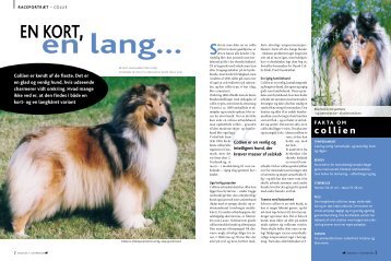 PDF-file: Collie - Dansk Kennel Klub