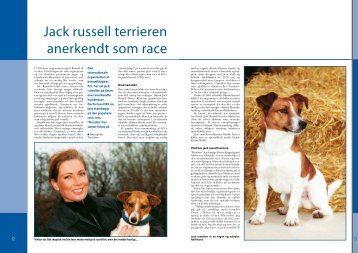Jack Russel Terrier - Dansk Kennel Klub